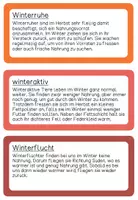 Vorschau - Stundenentwürfe - Lernwerkstatt Tiere im Winter 2./3. Klasse (2-fach differenziert) - Seite 3