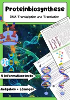 Vorschau - Arbeitsblätter - Proteinbiosynthese Materialpaket: Transkription, Translation, RNA, Ribosomen - Seite 1