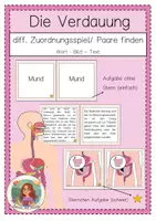 Vorschau - Stationenlernen - Die Verdauung: Zuordnungsspiel (Bild-Wort-Text) und Paare Suchspiel - Deckblatt