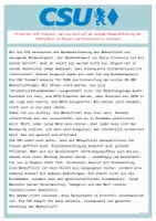 Vorschau - Stundenentwürfe - Wehrpflicht Planspiel | Teil 4: Gesetzentwurf, Plenardebatte und Ausschusssitzung - Seite 3