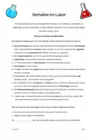 Vorschau - Unterrichtsreihen - Übungsblatt zu den Laborregeln 🧪 - Seite 1