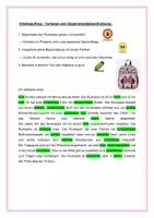 Vorschau - Arbeitsblätter - AA_Lösung_sachlich beschreiben - Deckblatt