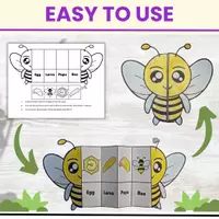 Aperçu - Feuilles d'exercices - Life Cycle Of a Bee foldable craft science activity - Page 1