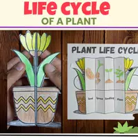 Aperçu - Feuilles d'exercices - life cycle of a Plant foldable kids craft science activity - Page de couverture