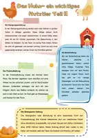 Vorschau - Arbeitsblätter - Hühnerhaltung- Teil 2 | Das Huhn als Nutztier: Unterrichtsreihe "Tiere in unserem Umfeld", Biologie 5.-6. Klasse - Seite 1