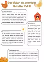 Vorschau - Arbeitsblätter - Hühnerhaltung- Teil 2 | Das Huhn als Nutztier: Unterrichtsreihe "Tiere in unserem Umfeld", Biologie 5.-6. Klasse - Seite 2