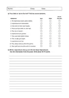 Vorschau - Arbeitsblätter - Leprechauns and Pots of Gold: Reading (English) - Seite 2