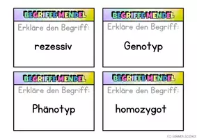 Vorschau - Fördermaterial/Inklusion - Mendelsche Regeln Unterricht Biologie – Lernkarten Vererbung Glossar Vererbungslehre - Seite 3