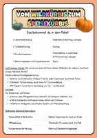 Vorschau - Stundenentwürfe - Mendelsche Regeln Materialpaket – Genetik Unterricht mit Halloween Kontext Unterrichtsstunde komplette Stunde - Deckblatt