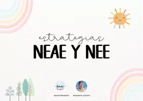 Vista previa - Tarjetas / Manipulativos - Estrategias alumnado neae y nee - página 1