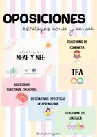 Vista previa - Tarjetas / Manipulativos - Estrategias alumnado neae y nee - Portada