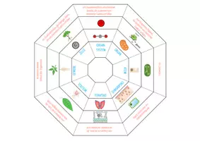 Vorschau - Spiele - Organisationsstufen – Legekreis - Seite 2