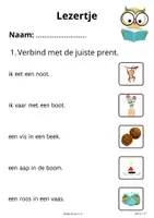 Voorbeeld - Lezertjes bij VLL kim versie - begrijpend lezen - Voorblad