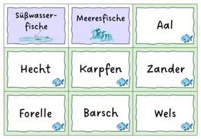 Vorschau - Spiele - Fischarten in Süß- und Salzwasser - Legespiel - Seite 1