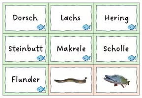 Vorschau - Spiele - Fischarten in Süß- und Salzwasser - Legespiel - Seite 2