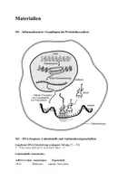 Vorschau - Klassenarbeiten - Proteinbiosynthese: Klausur mit EWH - Seite 1