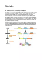 Vorschau - Klassenarbeiten - Klausur: Genetik, Alternatives Splicing - Seite 1