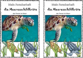 Vorschau - Arbeitsblätter - Forscherheft Schildkröte I Ozeane I Meere - Seite 2