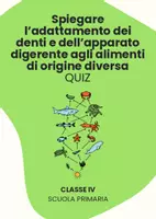 anteprima - Quiz - Raccolta di materiali: Gli animali onnivori (quiz) - Pagina 1