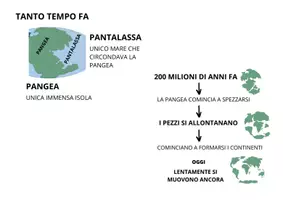 anteprima - Esercizi - Pangea e pantalassa - Pagina 1