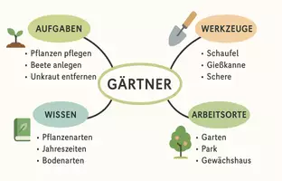 Vorschau - Arbeitsblätter - AB mit Fragen zum Thema "Gärtner" + Lösungsblatt + Mindmap + Infografik - Seite 2