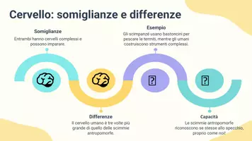 anteprima - Presentazioni / Lavagne - Riconoscere le principali caratteristiche delle scimmie antropomorfe e confrontarle con l’essere umano - Pagina 3