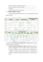 Vista previa - Refuerzo / NEE / Materiales de apoyo - PROGRAMACIÓN O PLAN DE TRABAJO DE ESPECIALISTAS AL Y PT - página 3