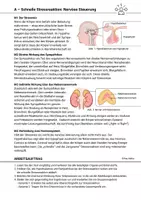 Vorschau - Arbeitsblätter - Stressreaktion Stress Hormone Cortisol Nervensystem Hormonsystem - Seite 1