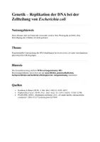 Vorschau - Klassenarbeiten - Klausur: Genetik, DNA Replikation E. Coli - Deckblatt