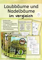 Vorschau - Stundenentwürfe - Laubbäume und Nadelbäume im Vergleich - Unterrichtsmaterialien, Arbeitsblätter, Stundenentwurf - Deckblatt