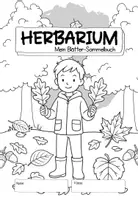 Vorschau - Arbeitsblätter - Herbarium | Blätter-Sammelbuch im Herbst - Seite 2