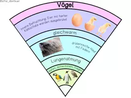 Vorschau - Anderer Materialtyp - Legekreis Tiergruppen/Tierklassen - Seite 2