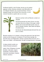 Vorschau - Arbeitsblätter - Bananen - ihre Reise - Seite 1