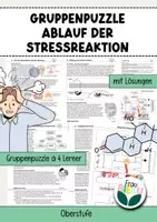 Vorschau - Arbeitsblätter - Stressreaktion Stress Hormone Cortisol Nervensystem Hormonsystem - Deckblatt