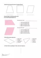 Voorbeeld - Parallellogram en trapezium werkblad meetkunde - Pagina 1