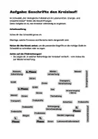 Vorschau - Stundenentwürfe - Nachhaltig denken – Kreisläufe begreifen – Beschriftungsaufgabe mit Wortbank, Reflexionsfragen, Lösungen - Seite 3