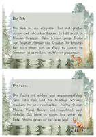Vorschau - Arbeitsblätter - Abschreibkartei - Tiere im Wald | Grundschule Deutsch & Sachunterricht - Seite 2