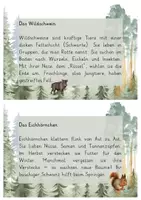 Vorschau - Arbeitsblätter - Abschreibkartei - Tiere im Wald | Grundschule Deutsch & Sachunterricht - Seite 3