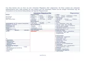 Vorschau - Arbeitsblätter - Expertenstandard Erhalt und Förderung der Hautintegrität in der Pflege - Seite 3
