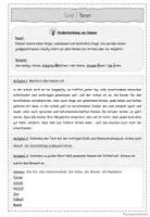 Vorschau - Unterrichtsreihen - Einheit: Groß- und Kleinschreibung - Seite 3