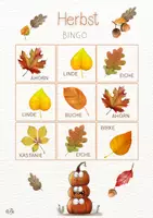 Vorschau - Stundenentwürfe - Herbst Bingo mit dem Schulhund - Seite 3