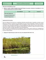 Vorschau - Arbeitsblätter - Ökologie - Aufbau des Ökosystems See - Seite 2