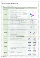 Vorschau - Präsentationen/Tafelbilder - Genetik | Biologie 12 | Hefteinträge Materialpaket - Seite 3
