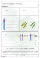 Vorschau - Präsentationen/Tafelbilder - Genetik: Weitergabe genetischer Informationen | Biologie 12 | Hefteinträge - Seite 3