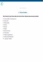 Vorschau - Stundenentwürfe - Nikolaus-Sportstunde für die Grundschule - Seite 3