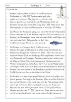 Vorschau - Arbeitsblätter - Sachtext mit Lesestrategien - Die Nordsee - 3. und 4. Klasse - Seite 1