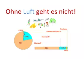 Vorschau - Stundenentwürfe - Materialpaket - Der menschliche Körper - Seite 1