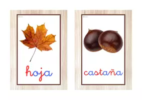 Vista previa - Tarjetas / Manipulativos - Vocabulario letra minúscula ligada (otoño) - Portada