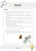 Vorschau - Bildkarten - Würfelbilder: Fantasieinsekten gestalten - Seite 2