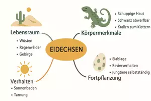 Vorschau - Arbeitsblätter - Arbeitsblatt zum Thema "Eidechsen" + Onlineübung & MP3 + Mindmap + Infografik - Seite 2